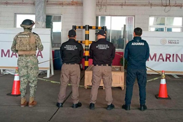 Semar frena envío internacional de DMT tras decomiso histórico en el puerto de Veracruz