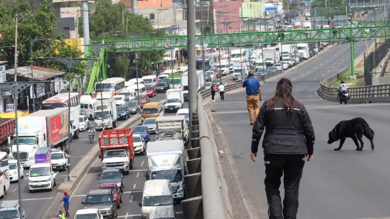 Acusan productores y transportistas de «traición» a legisladores
