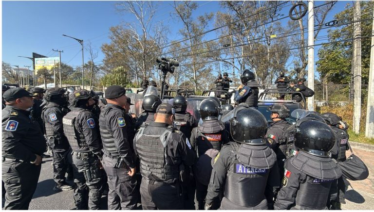 Rescata a 936 animales del Refugio Franciscano por presunto maltrato y hacinamiento severo