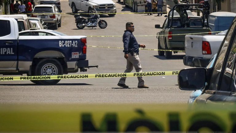 Promedio diario de 80 homicidios en primer semestre de 2025: Inegi