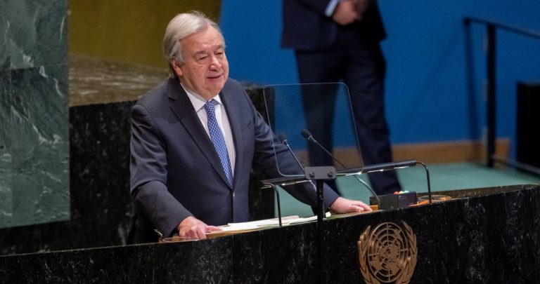 «Ley de la selva» sustituye al Estado de Derecho en el mundo: ONU