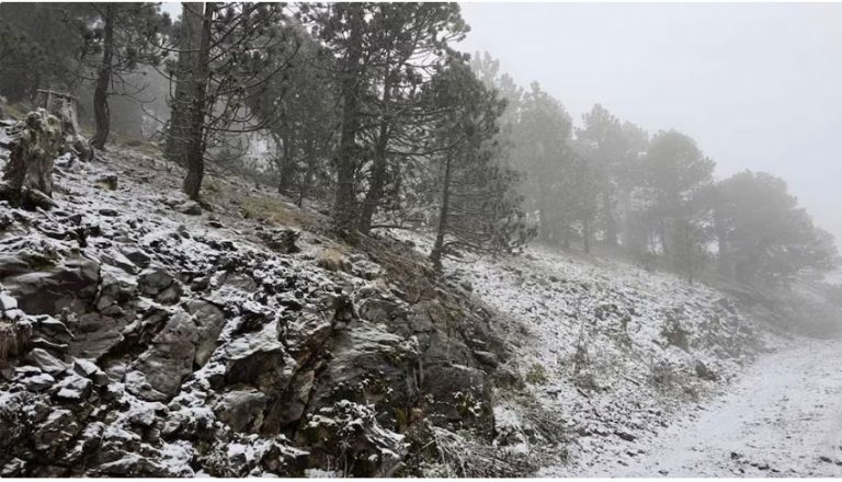 CFE trabaja en plan de contingencia por tormenta invernal en norte de México, Sheinbaum