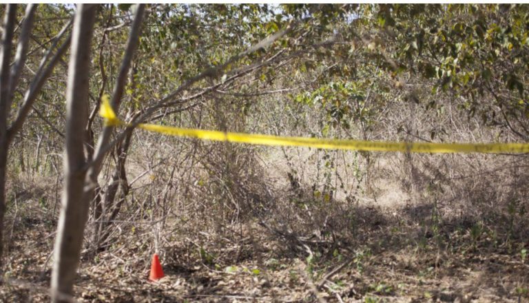 Gobierno de Veracruz confirma hallazgo de una fosa con al menos cinco cuerpos en el municipio de Jáltipan