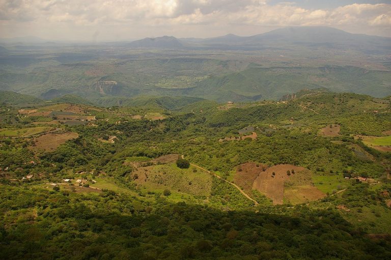 “El Mencho” mandó edificar hospital para atender padecimiento renal