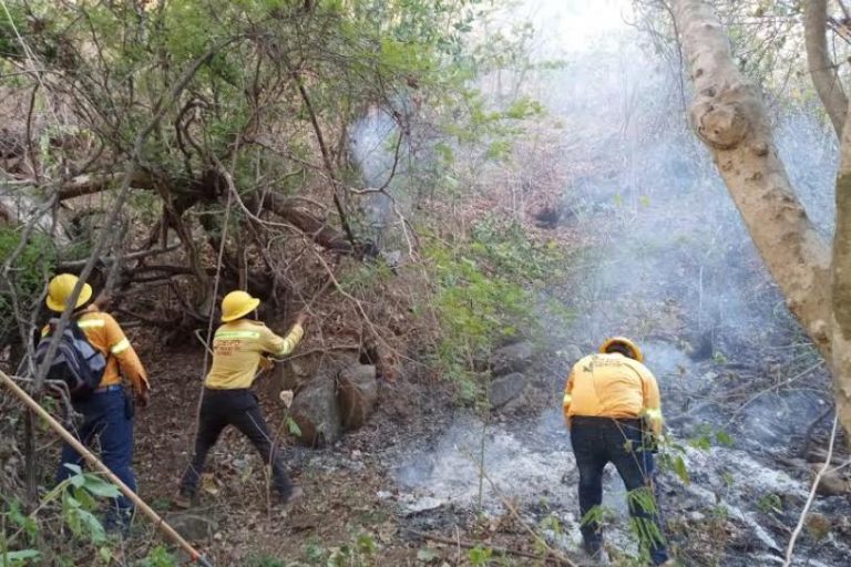 Reportan 22 incendios activos en el país