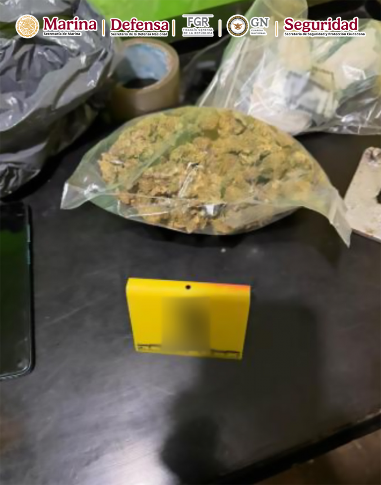 Trece cateos simultáneos contra crimen en Veracruz; 14 detenidos