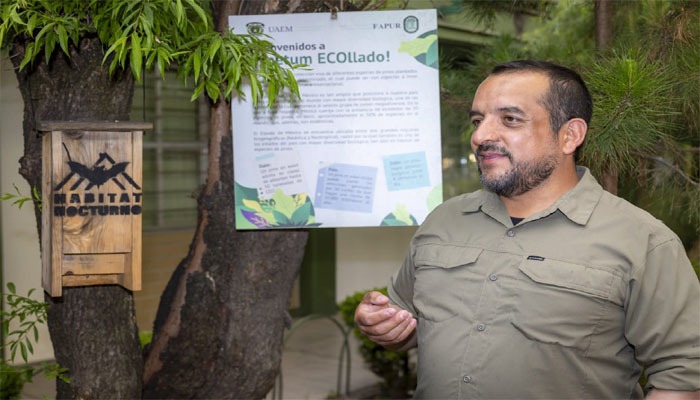 Murciélagos, aliados invisibles para la agricultura y el equilibrio ambiental