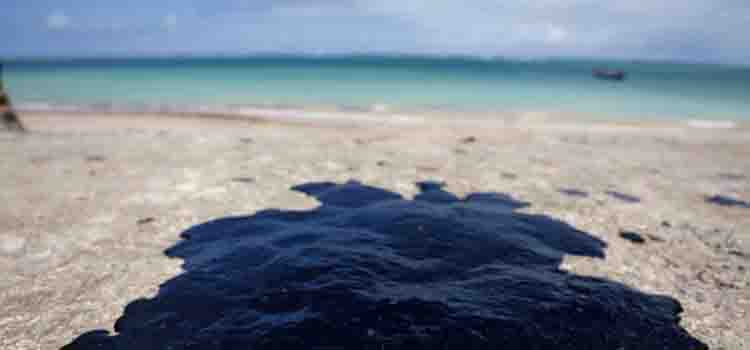 Desastre ecológico, económico y político en el Golfo, por derrame