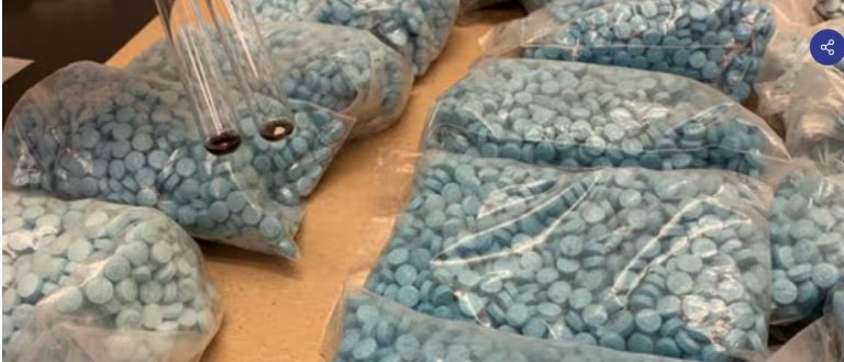 Autoridades federales aseguran más de 100 mil pastillas de fentanilo, en Sinaloa