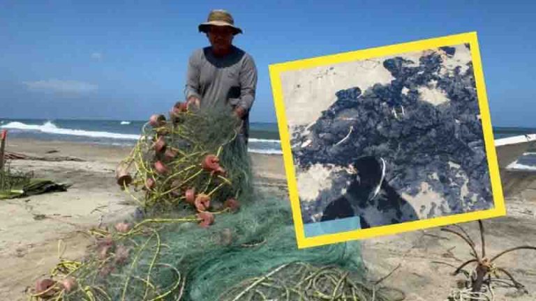 Se expande mancha de petróleo en Tabasco y Veracruz