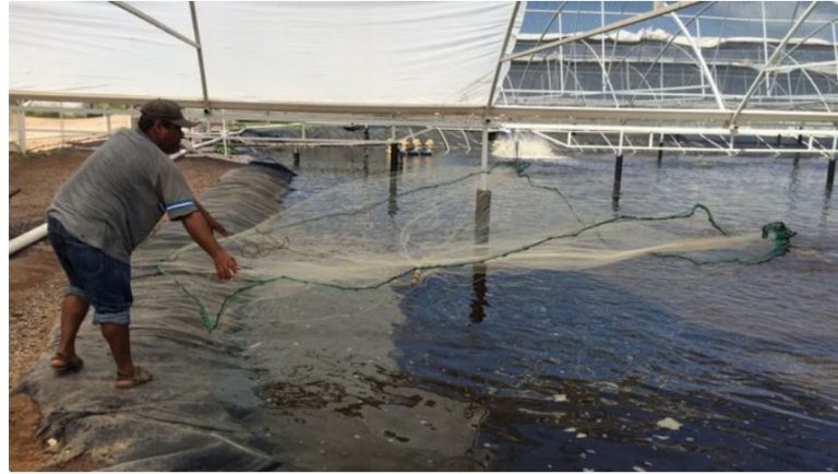 Derrame en Dos Bocas: Pemex destina 35 mdp para pescadores afectados