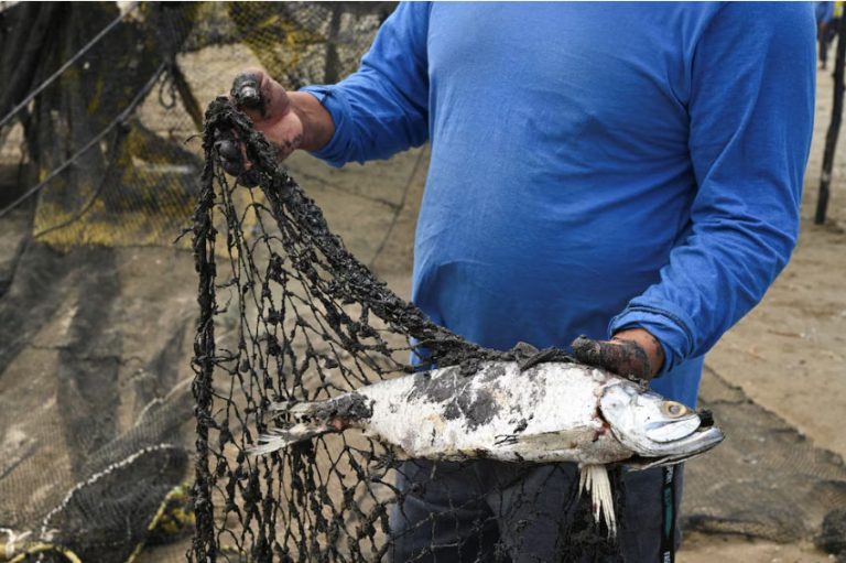 Pemex ha limpiado más de 430 toneladas de petróleo en el derrame del Golfo de México