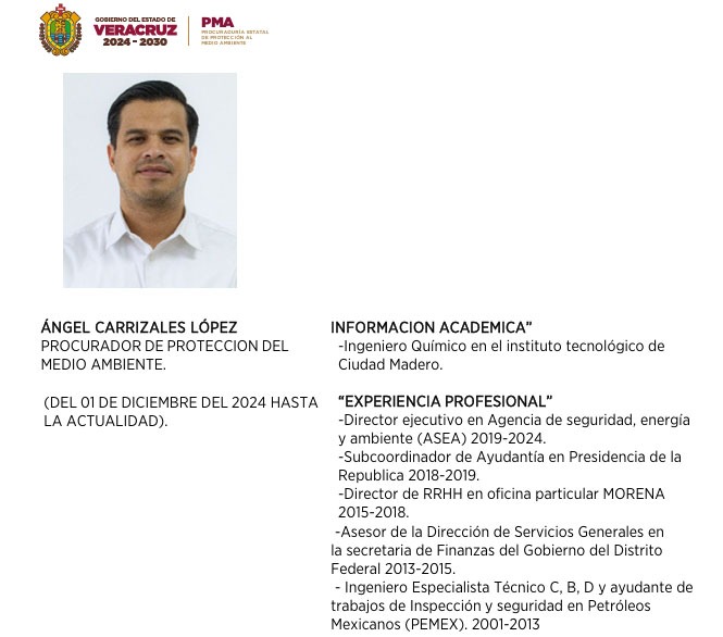 ASEA: la improvisación de la 4T