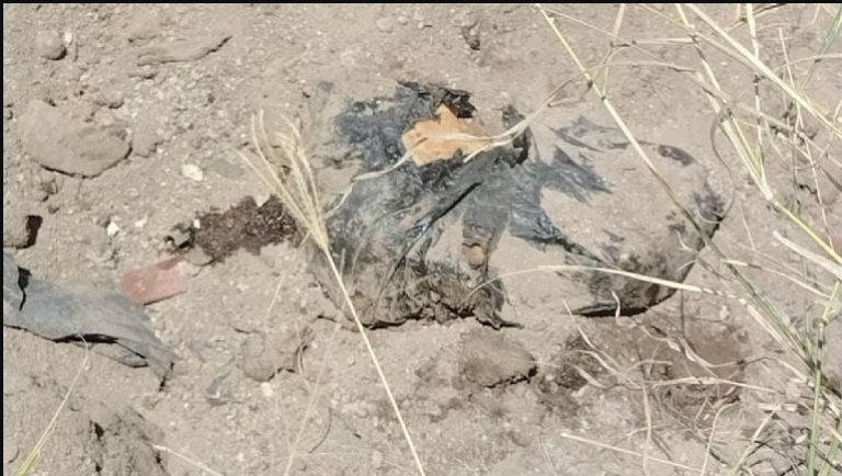 Hallan siete bolsas con restos humanos, en Jalisco