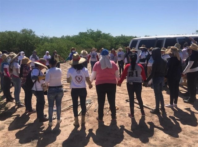 ONG’s contabilizan 31 homicidios de buscadoras en México