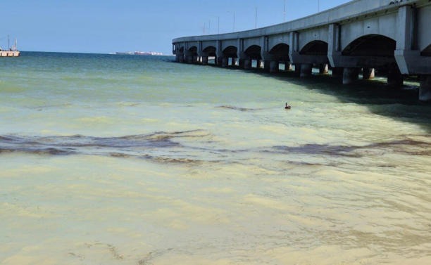 Reportan derrame de hidrocarburo en Puerto Progreso, Yucatán
