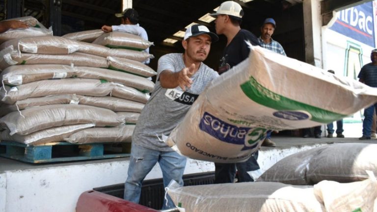 Crisis mundial de fertilizantes dispara precios; México importa 70%