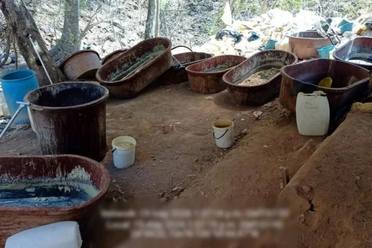 Desmantelan tres laboratorios clandestinos del Cártel de Sinaloa