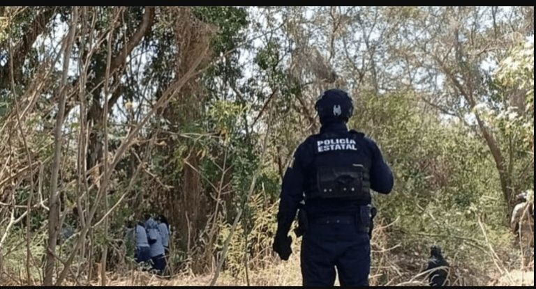 Hallan apilados los cuerpos sin vida de 5 hombres vestidos tipo militar, en Escuinapa