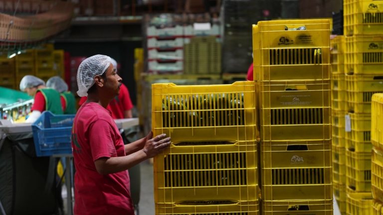 En abril empleo cae 1.5%; sueldos suben, menos contratación: Inegi