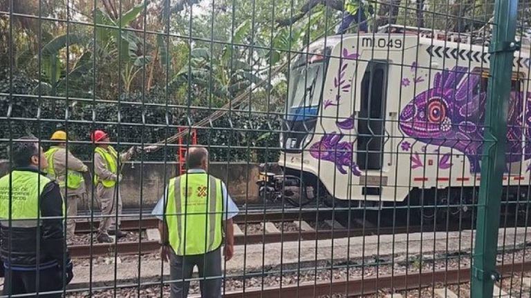 Tren Ligero CdMx suspende servicio por cable roto