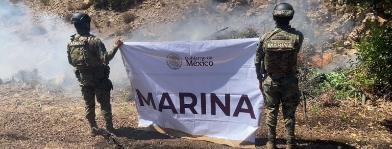 Incineran plantíos de mariguana e invernadero de la droga