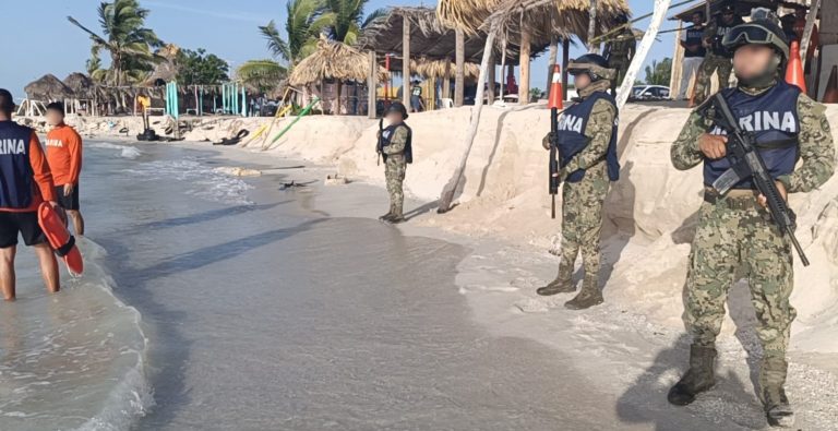 Personal naval apoya a proteger eclosión de tortugas marinas en playa Sabancuy, Campeche