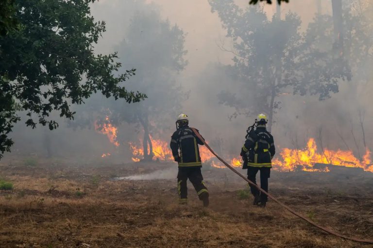 Más de 250 mil personas huyen de sus hogares en Francia por incendios forestales