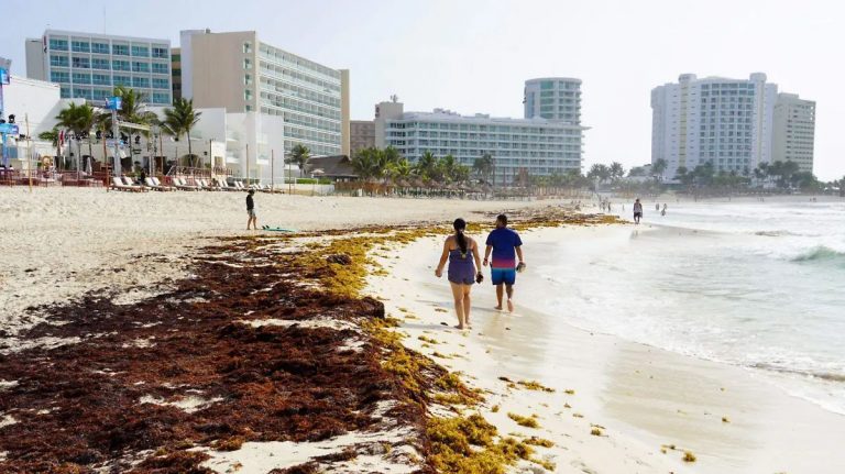Gobierno invierte 2 mmdp y refuerza estrategia para sargazo en Quintana Roo
