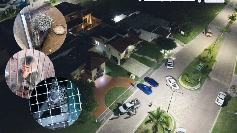 Aseguran rancho con 135 animales exóticos, en Tamaulipas