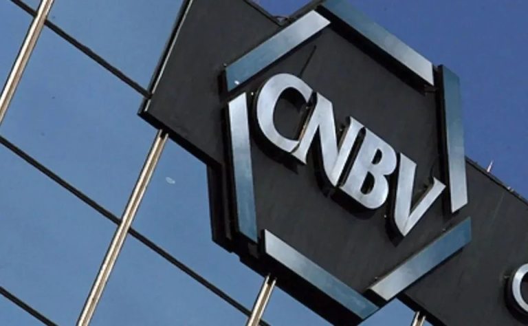 CNBV puede ser obstáculo en lucha contra “narcocandidaturas”: INE