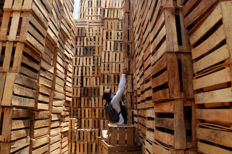 Cárteles cobran por huacales y controlan la cadena agrícola en México