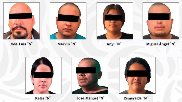 Detienen a 12 integrantes del CJNG y de Los Caballeros Templarios en Michoacán, extorsionaban al sector aguacatero