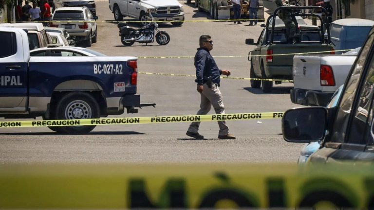 Bajan homicidios en México, pero impunidad al alza, estiman analistas