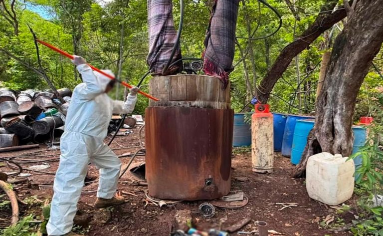 Desmantelan narcolaboratorios en Sinaloa y Michoacán con afectación de más de mil 400 mdp al crimen organizado