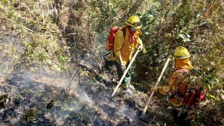 Incendio consume bosque virgen en el santuario de Machu Picchu