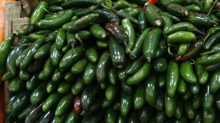 Cofepris investiga chiles mexicanos por posible brote de salmonela en EU