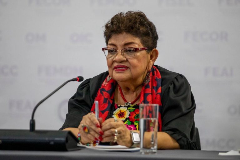 «Soberanía no se somete a presiones externas ni internas»: Ernestina Godoy