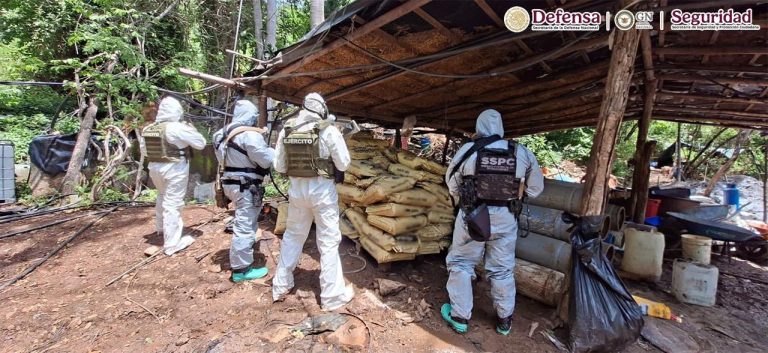 Ubican y desactivan cuatro laboratorios clandestinos de drogas sintéticas en Michoacán y Guerrero