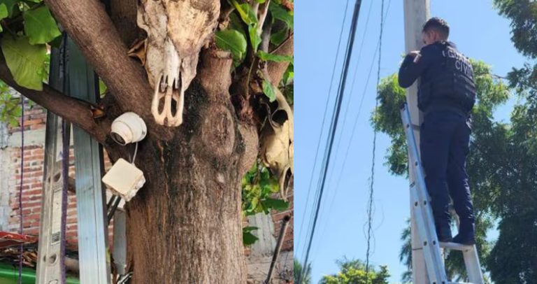 Desmantelan red de cámaras de vigilancia ilegales usadas por el crimen organizado en Apatzingán