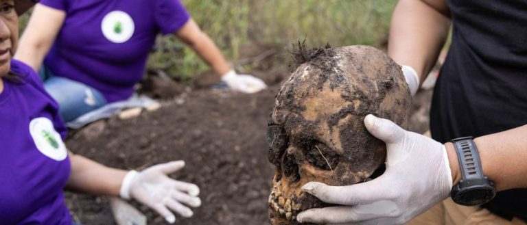 FGR reportó 20 veces menos fosas clandestinas que estados en 2025
