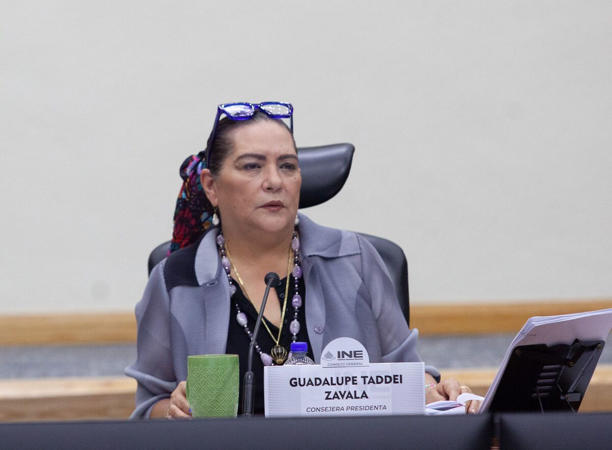 Las sentencias del TEPJF no descalifican al INE: Taddei