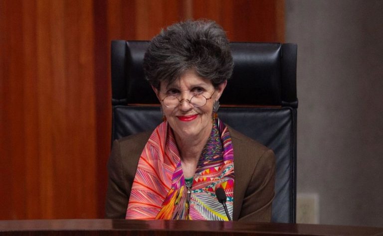 Procesos internos de partidos de «coordinadores», fraude a la ley: Janine Otálora