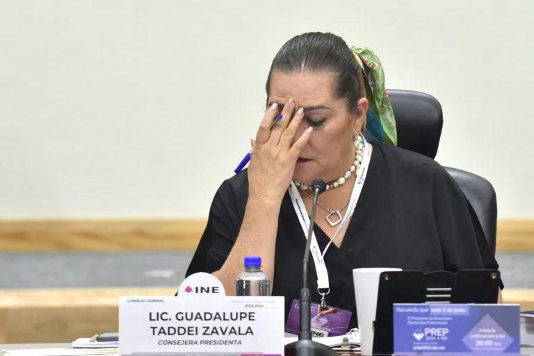 Taddei presenta renuncia como presidenta del INE ante Diputados